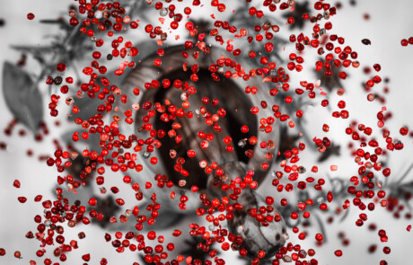 Schwebender roter Pfeffer © Ronald Kurätzki zum Thema "Sin City Effekt – Color Key"