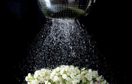 Siebgiesskanne © Manfred Lebeau zum Thema "Haushaltsgegenstände neu gesehen"